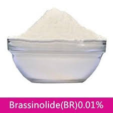BRASINOLOID 0.01%SP